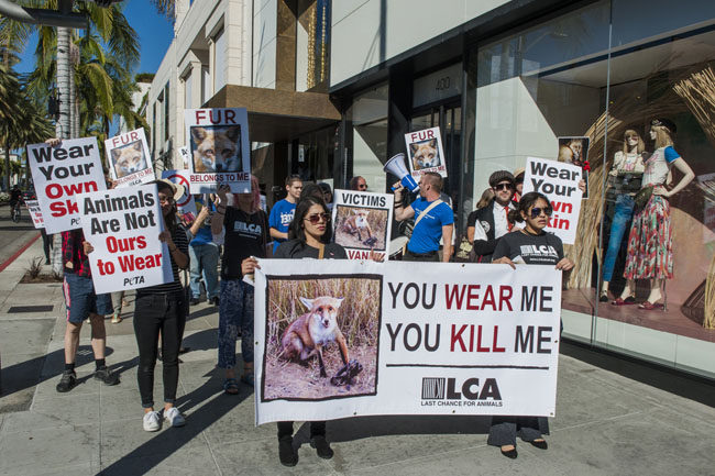Lieber nackt als Pelz - Demonstration gegen Pelz in Los Angeles Lieber nackt als Pelz